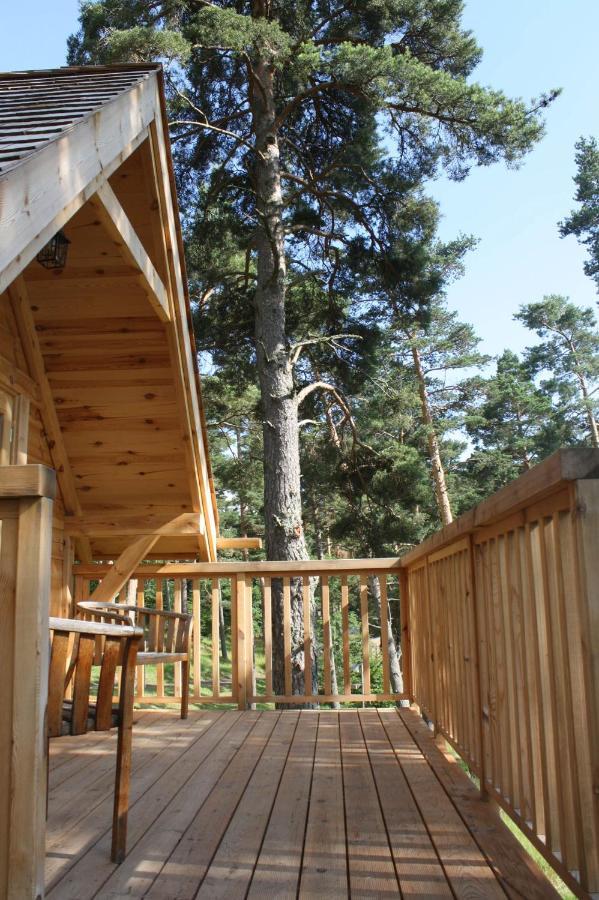 Cabane Lodge Domaine Du Lac Chambon Murol Exterior photo